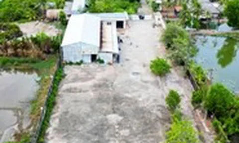 Mua đất hợp pháp, bị tuyên hủy sổ đỏ vì không đi xem đất