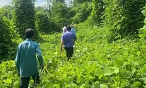 Lần đầu tiên Viện kiểm sát khởi kiện dân sự người chiếm giữ nhà đất công trái phép