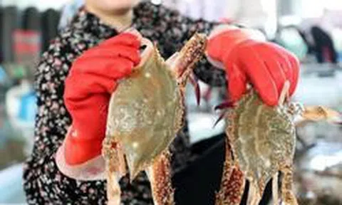 Người bán hải sản 20 năm nói thẳng: 5 loại cua có cho không cũng đừng lấy, chỉ người "dại" mới mua về