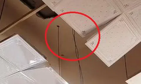 Đang ngủ, người phụ nữ phát hiện cảnh tượng "đáng sợ" giữa đêm