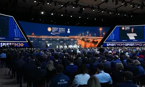 Diễn đàn Kinh tế Quốc tế St. Petersburg 2026 – Cánh cửa mới cho quan hệ kinh tế song phương