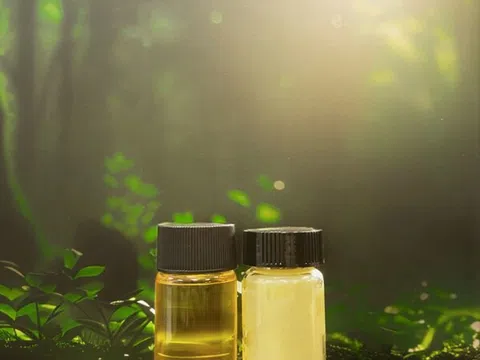 Terra Oleo ra mắt sau giai đoạn hoạt động kín với khoản đầu tư 3,1 triệu USD và được lựa chọn vào chương trình Đồng hành của Breakthrough Energy để tái định nghĩa chất béo và dầu