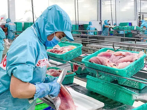 Doanh nghiệp thủy sản bứt phá sau giai đoạn trầm lắng