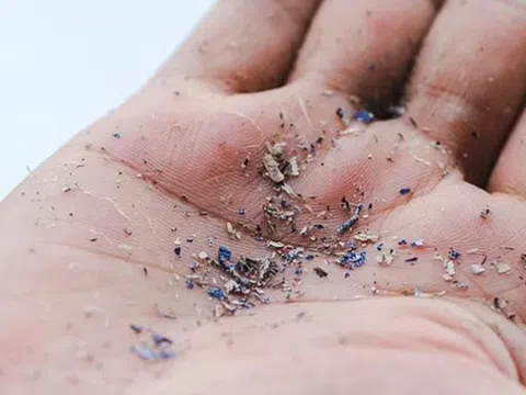 Top 2 loại củ quả ngậm đầy vi nhựa, nhiều người Việt vẫn vô tư ăn hàng ngày