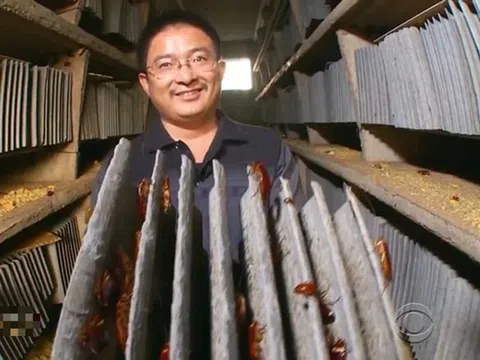 Nghề "hot" kiếm cả tỷ đồng mỗi năm nhưng ít ai dám làm