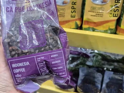 Giá cà phê hôm nay 29-12: Vì sao Việt Nam chi hơn nửa tỉ USD nhập cà phê?