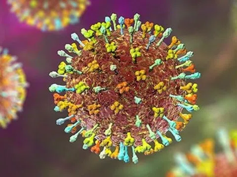 Bác sĩ chỉ dấu hiệu nhận biết và cách phòng tránh virus Nipah