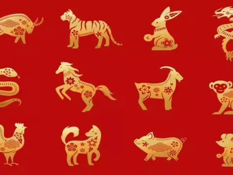 Tháng 12 âm có 3 con giáp may mắn bậc nhất, sở hữu cuộc sống sang giàu, viên mãn ai cũng ngưỡng mộ