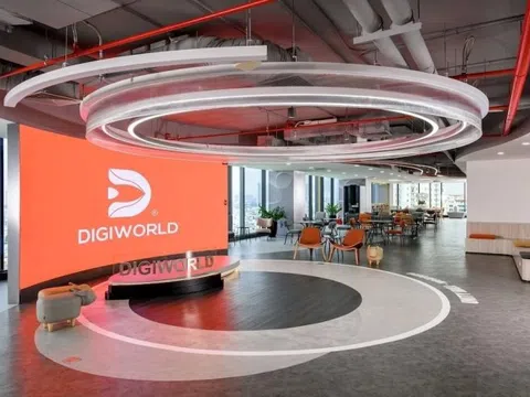 Digiworld (DGW) rót gần 800 tỷ mua Hòa Phát, Techcombank, VPBank, tạm lỗ 90 tỷ