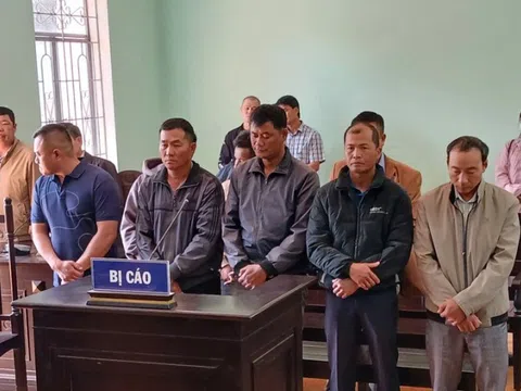 Ba nhân viên bảo vệ rừng lĩnh án tù vì nhận hối lộ của lâm tặc