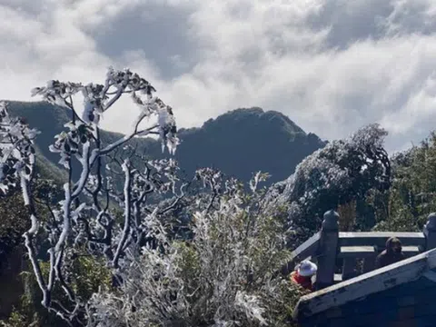 Dự báo thời tiết 2/2: Khối không khí lạnh mạnh tăng cường khiến nền nhiệt miền Bắc giảm sâu, trời rét đậm