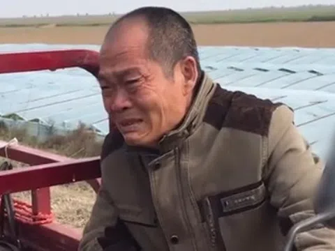 Anh nông dân gửi tiết kiệm 1,1 tỷ đồng nhưng nhân viên khẳng định tiền đã rút sạch, tòa tuyên bố: “Ngân hàng phải trả 1,2 tỷ đồng”