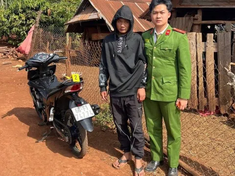 Công an Gia Lai bắt đối tượng hành hung, cướp tài sản của một thiếu nữ