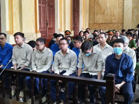 Bột đạm, bột huyết động vật nhiễm dịch tả lợn Châu Phi "tuồn" vào thị trường: Cán bộ thú y hầu toà