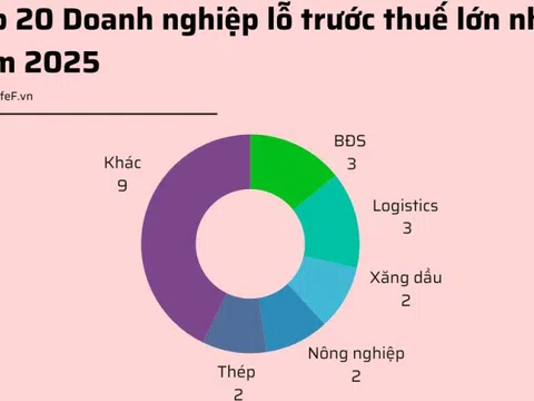 20 doanh nghiệp lỗ trước thuế lớn nhất năm 2025: HAGL Agrico lỗ gần 1.000 tỷ, bất động sản, logistics chiếm sóng
