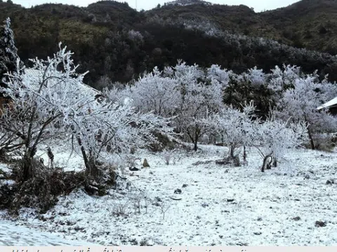 Dự báo thời tiết 6/2: Không khí lạnh dồn dập tràn về, miền Bắc sắp đón đợt rét đậm trên diện rộng