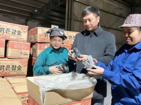 Ông chủ Bắc Ninh thu 40 tỷ đồng/năm nhờ biến cành củi khô thành thỏi 'vàng đen' không khói