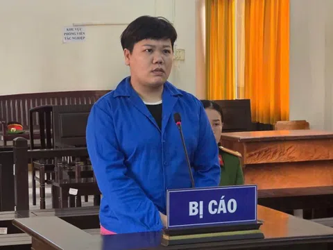 Thủ đoạn lừa đảo tiền tỉ của người phụ nữ có 2 quốc tịch