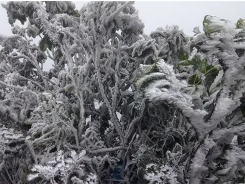 Dự báo thời tiết 12/2: Miền Bắc đón không khí lạnh tăng cường, trời chuyển mưa rét