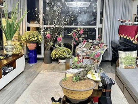 Biệt thự của diva Mỹ Linh rực sắc xuân, nhà nữ MC VTV đủ đầy 'ai ngắm cũng mê'