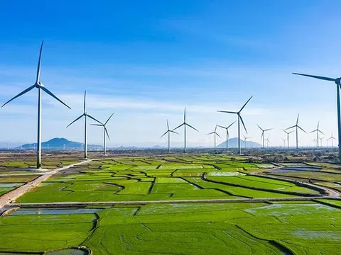 Một công ty điện gió thuộc Trung Nam Group tăng vốn gấp 68 lần