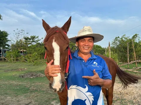 Đầu xuân Bính Ngọ 2026: Thăm trang trại ngựa lớn nhất TPHCM