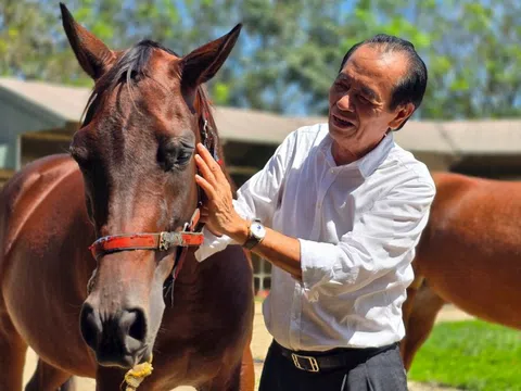 Cụ ông U80 quê Hà Tĩnh: 76 tuổi vẫn làm Chủ tịch 'cầm trịch' dự án trường đua ngựa 1.550 tỷ đồng