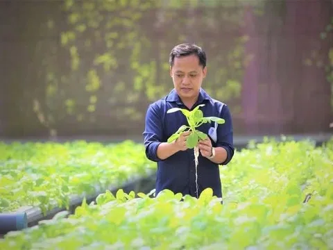 Anh kỹ sư lập trình bỏ phố về quê, xây 'resort 5 sao' cho rau, thu hút 10.000 người đến