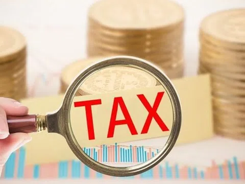 Thuế TP.HCM cảnh báo nóng đối với các hành vi gian lận về thuế, hóa đơn