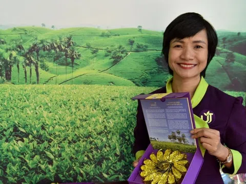 Hồi sinh loại cây từng bị đốn làm củi, chứa 'chất quý' gấp 135 lần bình thường, nữ giám đốc thu hơn 1 tỷ đồng/tấn