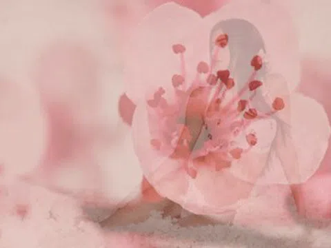 Siêu mẫu giàu nhất nước Đức diện nội y cực nóng bỏng bên con gái cưng