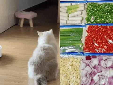 Tôi học cách dọn nhà của giới trẻ và nhận ra: Chỉ cần đổi tư duy, việc nhà giảm một nửa mà nhà vẫn gọn gàng mỗi ngày