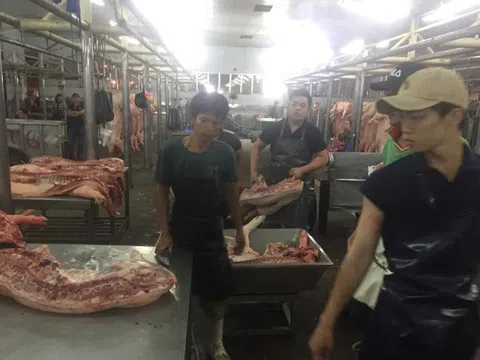 Giá heo hơi hôm nay, 5-3: Tăng mạnh ở chợ đầu mối