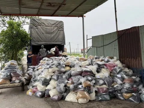 Cựu Phó cục trưởng Hải quan nhận hối lộ 800 triệu đồng giúp doanh nghiệp làm hàng giả thông quan