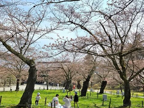 Con số bất ngờ về người Việt đi du lịch Nhật Bản