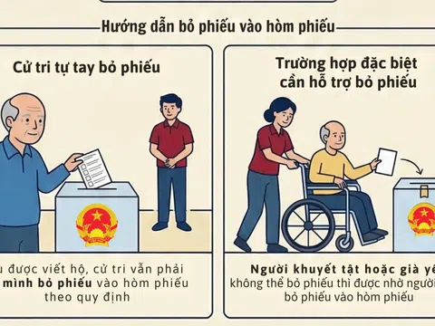 Cử tri có được nhờ người khác viết và bỏ hộ phiếu bầu cử?