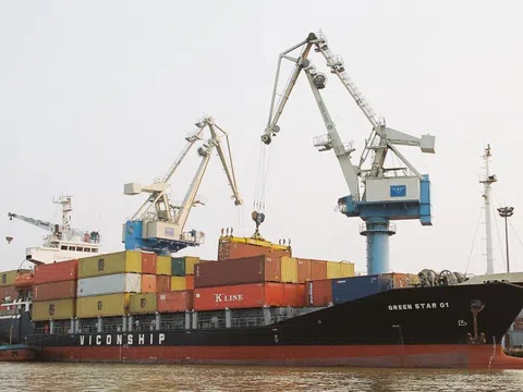 Viconship chốt quyền tham dự ĐHĐCĐ thường niên 2026