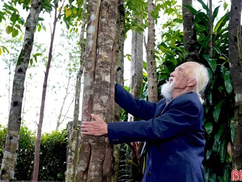 Cụ ông 98 tuổi biến khối gỗ mục làm củi thành "vàng", kiếm 200 tỷ mỗi năm cho vùng rốn lũ miền Trung