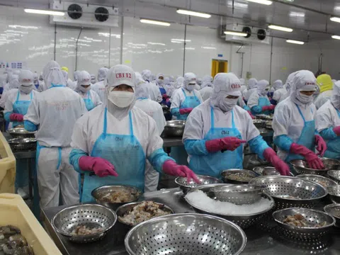 Xuất khẩu nông, lâm, thủy sản có thể giảm hàng tỉ USD vì xung đột ở Trung Đông