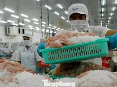 Một số doanh nghiệp thủy sản tạm dừng xuất khẩu Trung Đông