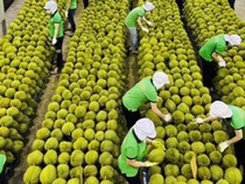 Nhiều tín hiệu tích cực với xuất khẩu Việt Nam giữa biến động Trung Đông