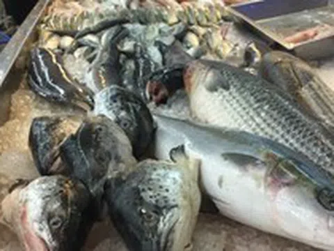 Hoa mắt trước quầy cá siêu thị: Nhân viên chỉ 3 loại "vô địch DHA", tốt cho não, giá vừa túi tiền