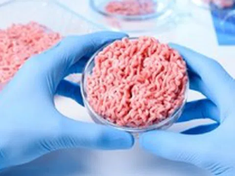 Vì sao người phương Tây mê thịt tảng còn người Việt Nam, Trung Quốc hay Hàn Quốc lại chuộng thịt thái nhỏ?