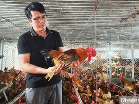 Lương vài chục triệu, bác sĩ thú y vẫn bỏ việc về mở trang trại thu gần 9 tỷ mỗi năm