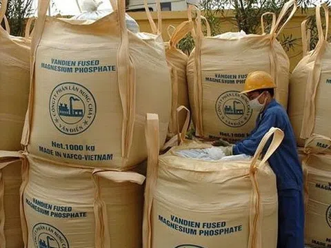 Phân lân Văn Điển trước "án" rời sàn HoSE bắt buộc