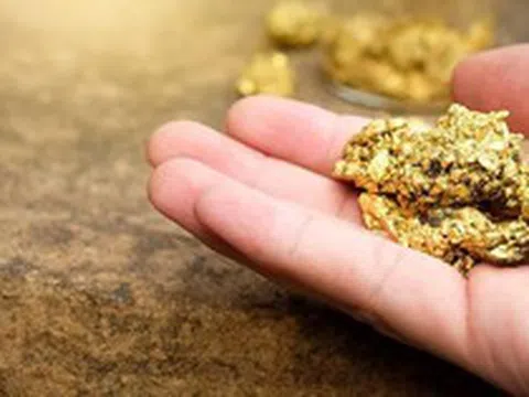 Công ty đào vàng số 1 Việt Nam báo lợi nhuận kỷ lục, kiểm toán nhấn mạnh một rủi ro