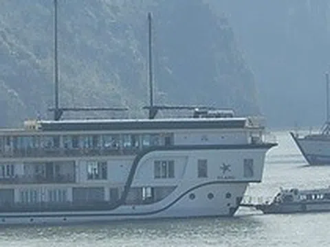 Sử dụng Starlink trái phép, chủ tàu du lịch ở Cát Bà bị phạt 70 triệu đồng