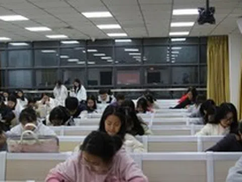 Lối thoát cho sinh viên ngành Ngôn ngữ: Mô hình "Ngoại ngữ + X" và 3 kỹ năng để không bị AI thay thế