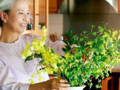 Để có tuổi già thoải mái, hãy tránh 6 sai lầm tiền bạc phổ biến này