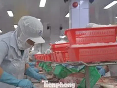 Cả vùng Đồng bằng sông Cửu Long chỉ có 24 tỷ USD vốn FDI